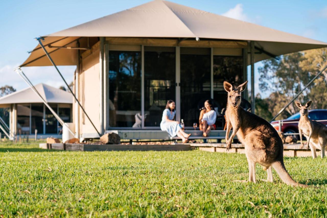 Habitat Noosa Hotell Cootharaba Eksteriør bilde